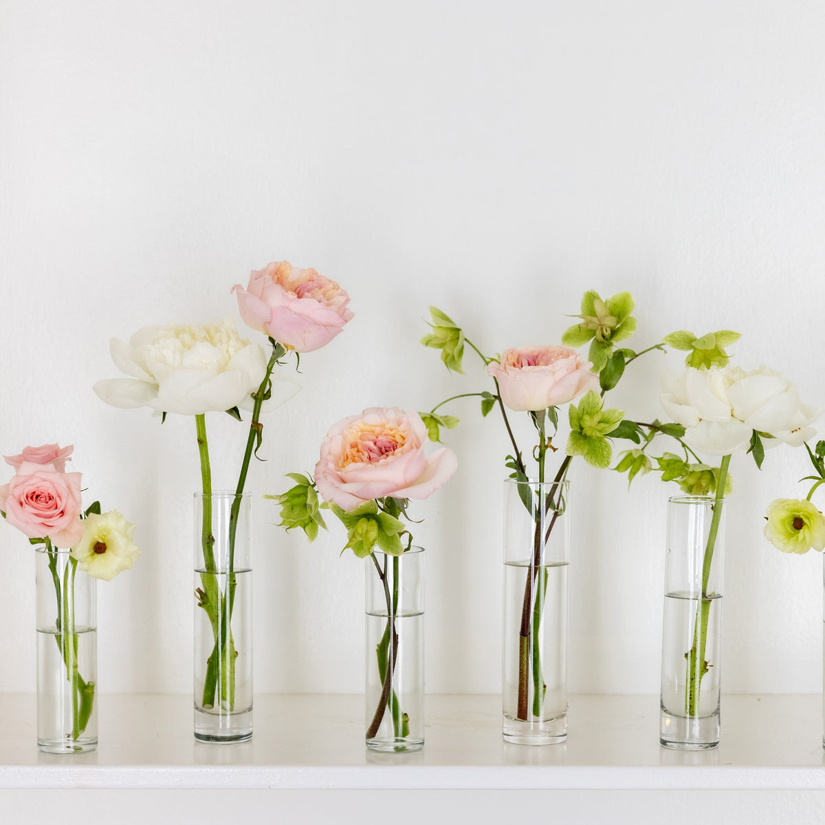 Bud Vase Bundle